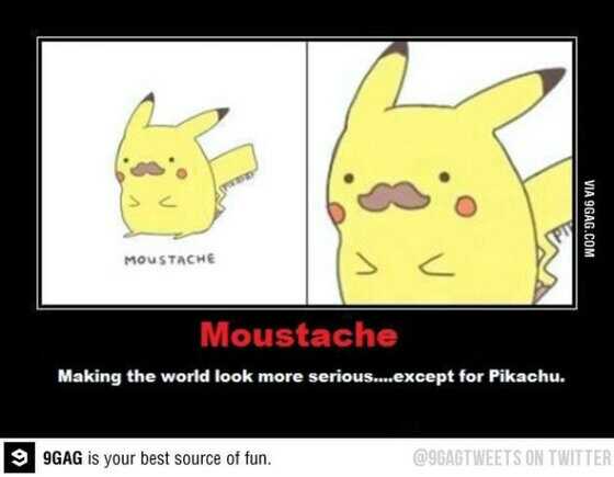 Pika moustache.jpg