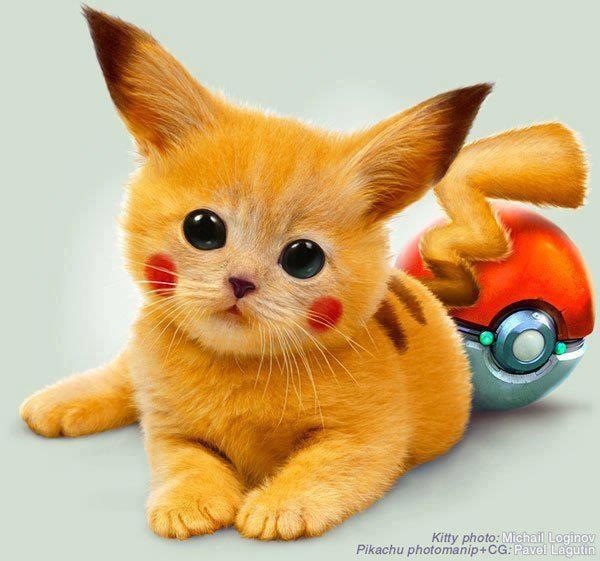 Cute-pokemon-33701170-600-561.jpg