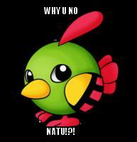 WHY U NO NATU.jpg