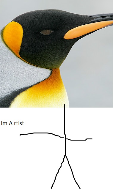King-Penguin-head-gray-BKGR-_L8X9095-South-Georgia-Islandedited.jpg