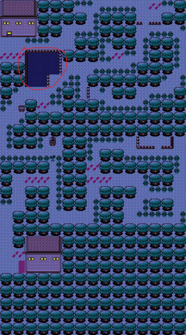 IlexForest.png
