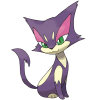 CAT.png