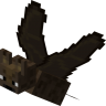 MrSquirrelX