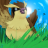 Pidgeylover666
